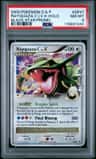 Rayquaza C Lv.x
