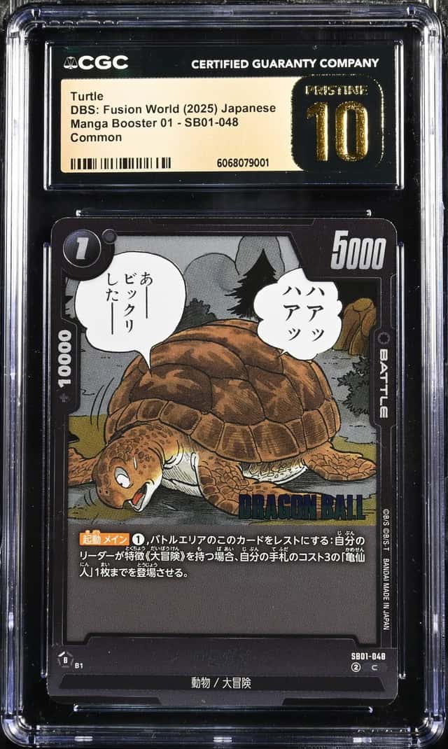 Turtle