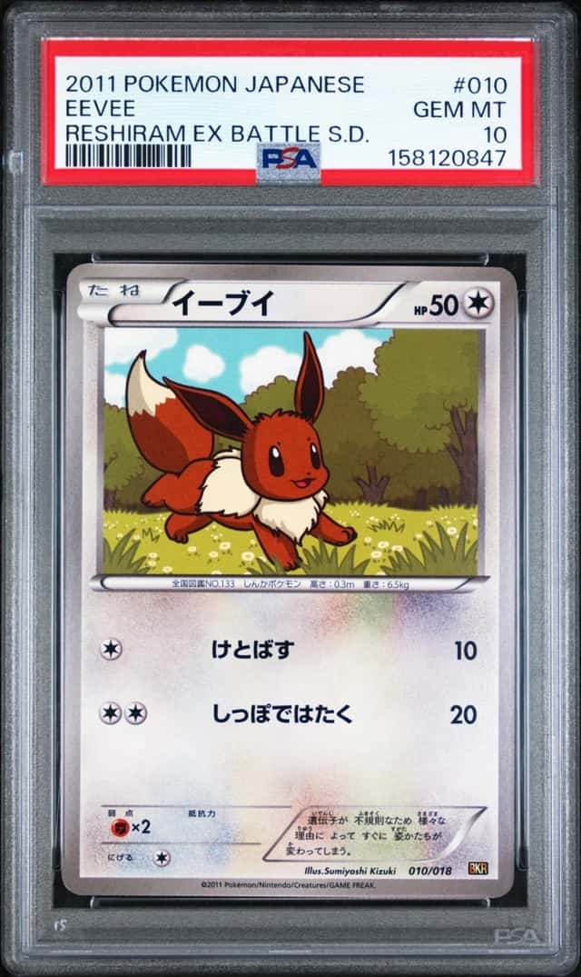 Eevee