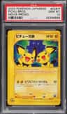 Pichu Bros