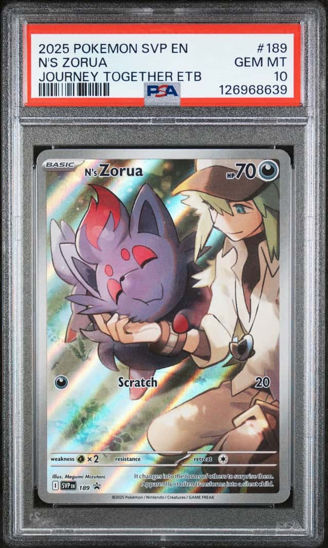 N's Zorua