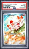 Scorbunny