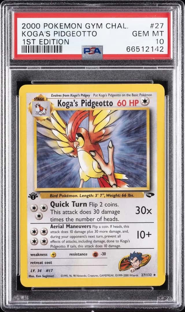 Koga's Pidgeotto
