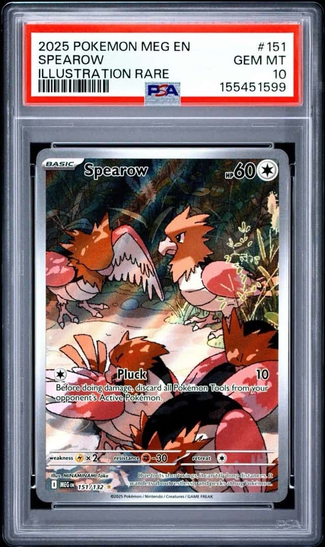 Spearow
