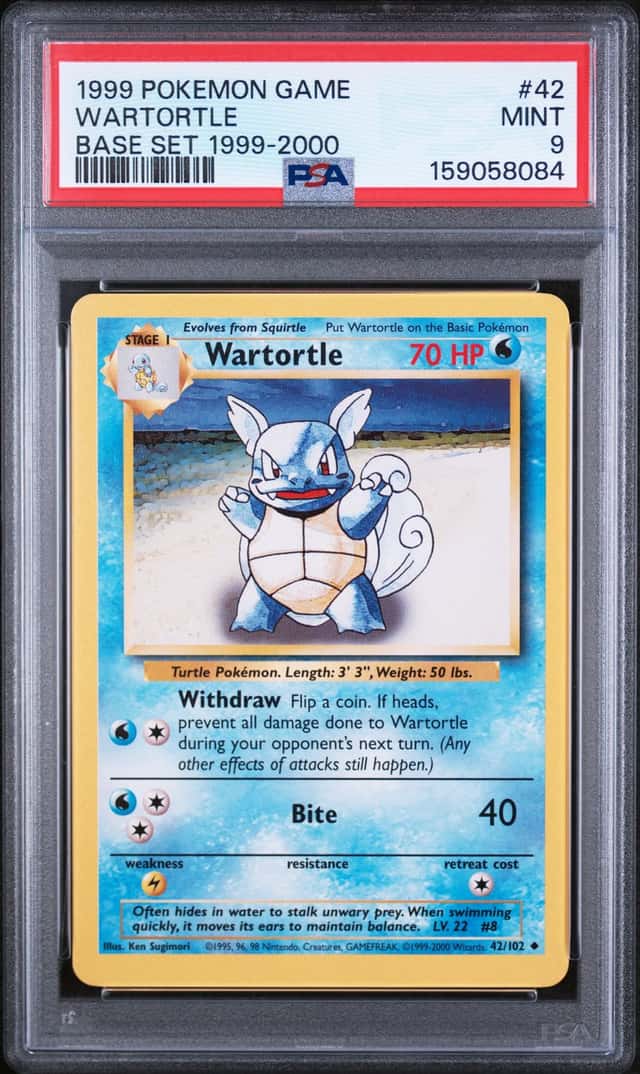 Wartortle