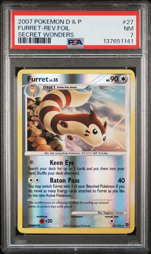 Furret