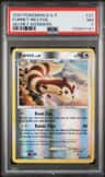 Furret