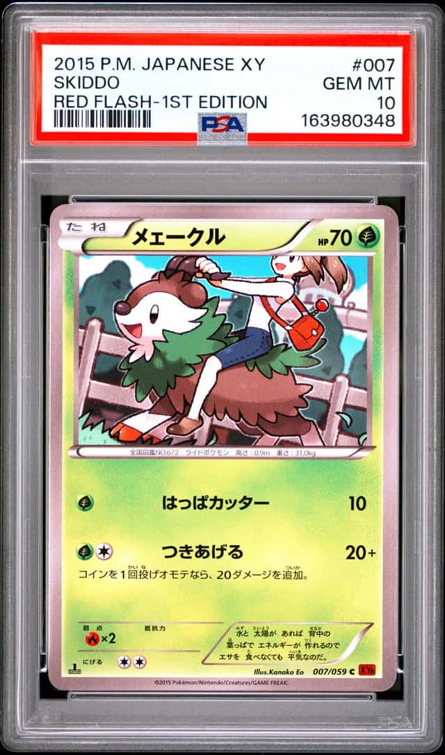Skiddo