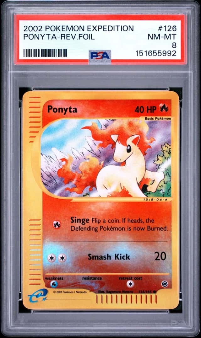 Ponyta