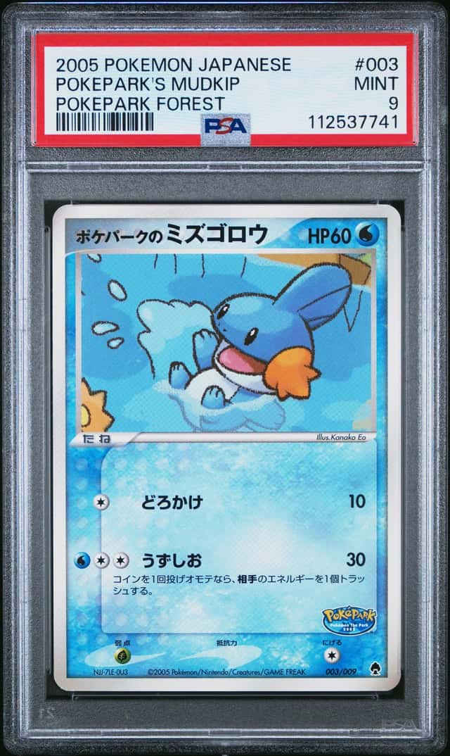 Pokepark's Mudkip