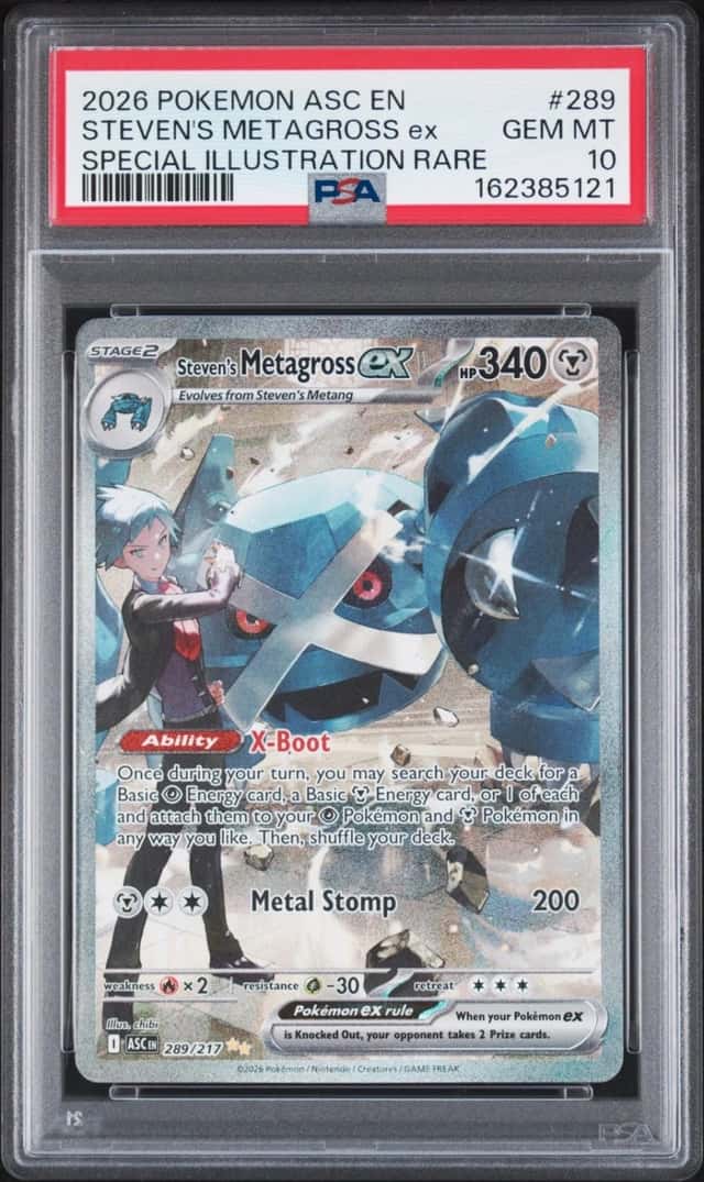 STEVEN'S METAGROSS ex