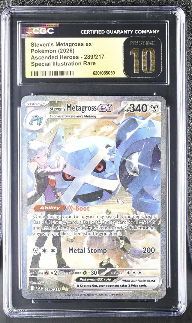 STEVEN'S METAGROSS ex
