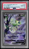 Celebi V