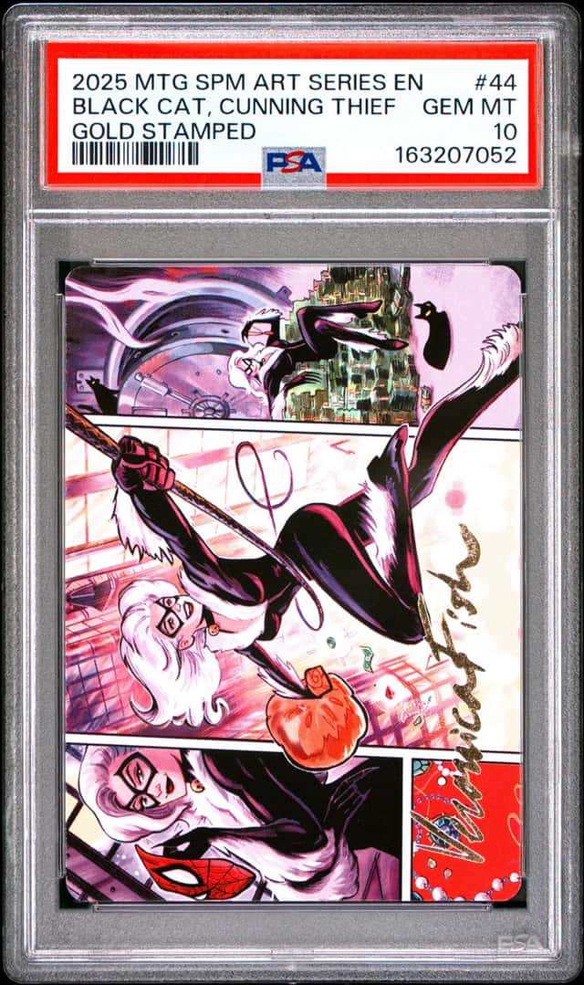 Black Cat, Cunning Thief