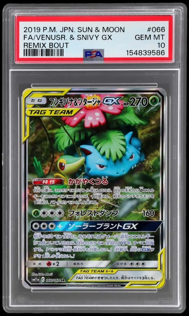 Venusaur & Snivy GX