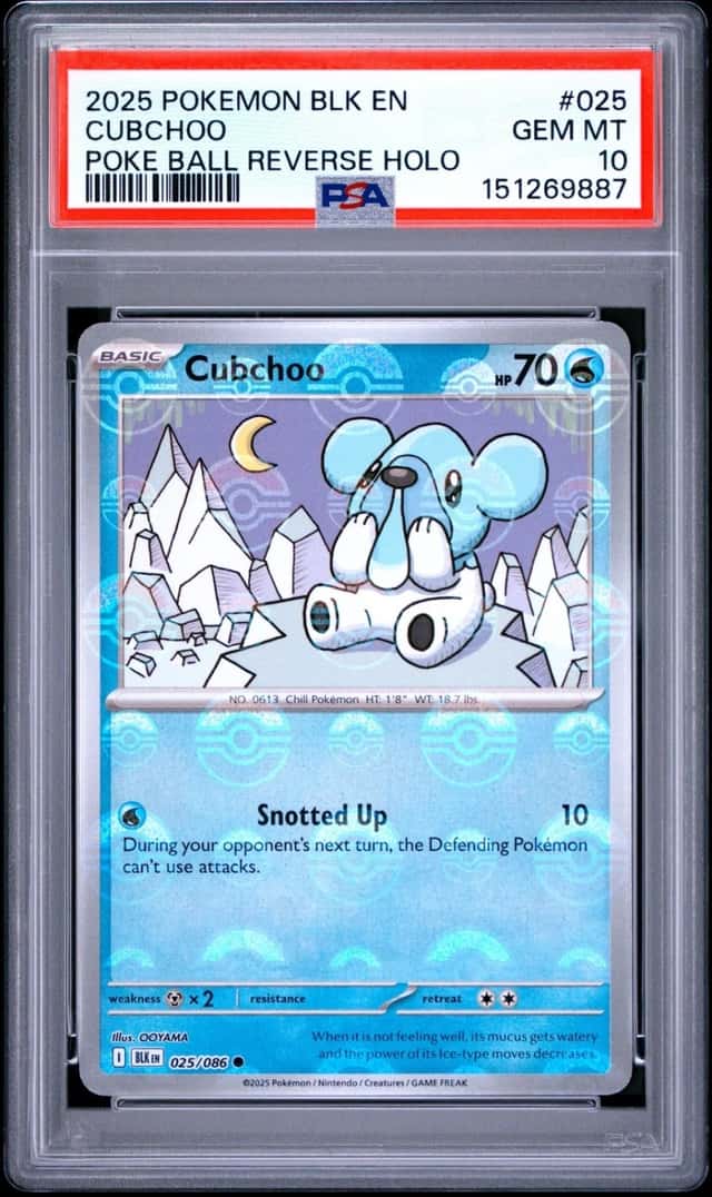 Cubchoo