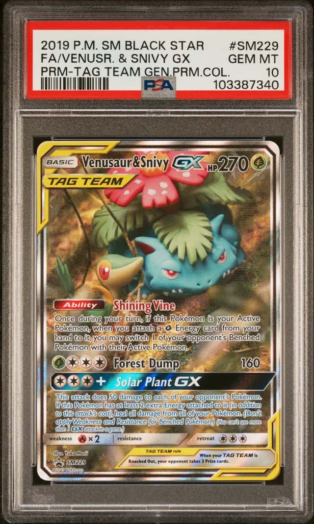 Venusaur & Snivy GX