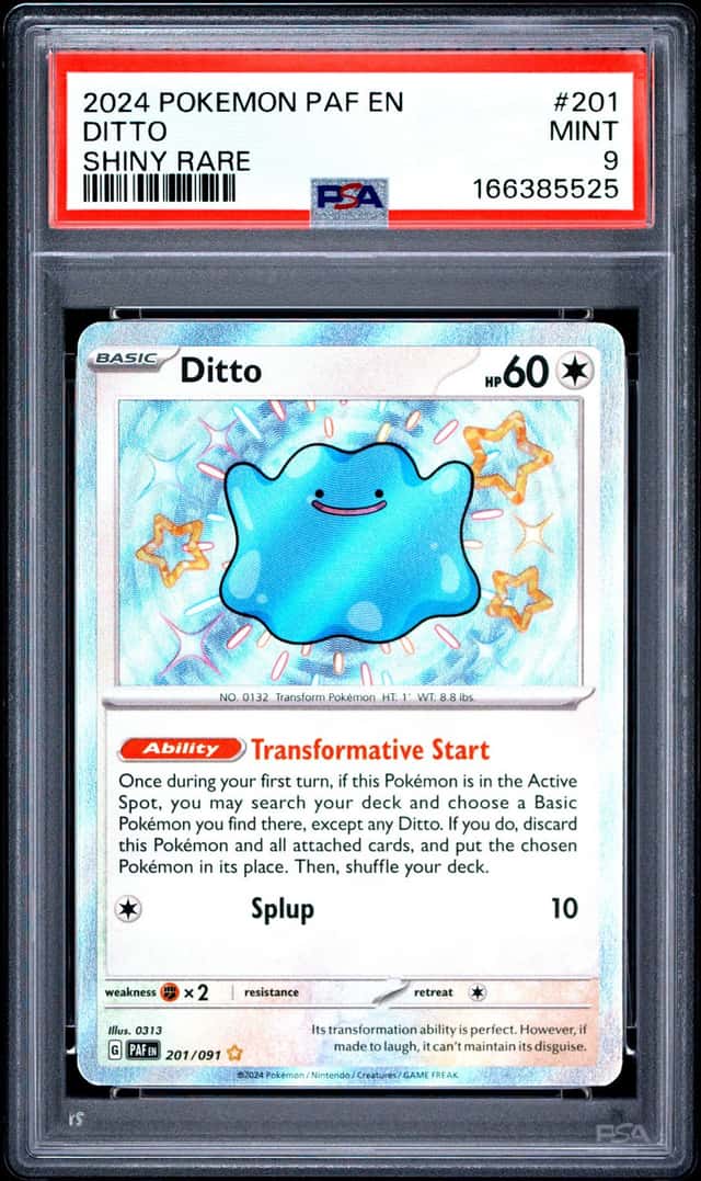 Ditto