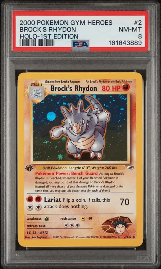 Brock's Rhydon