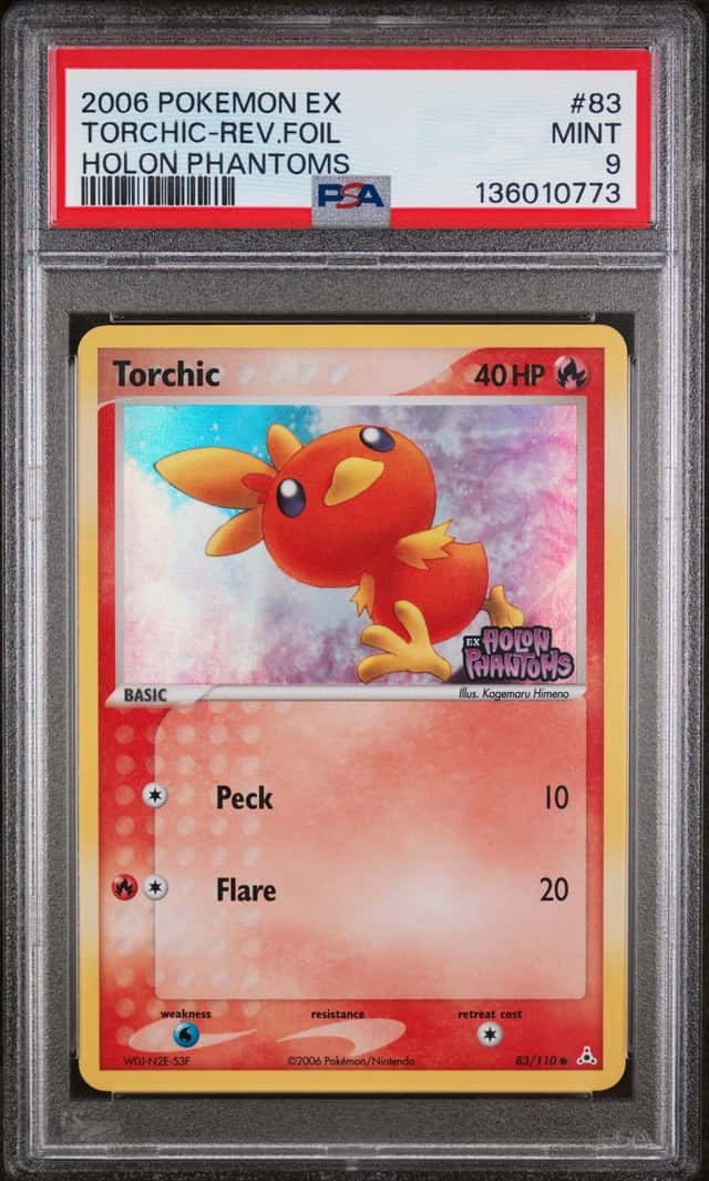 Torchic