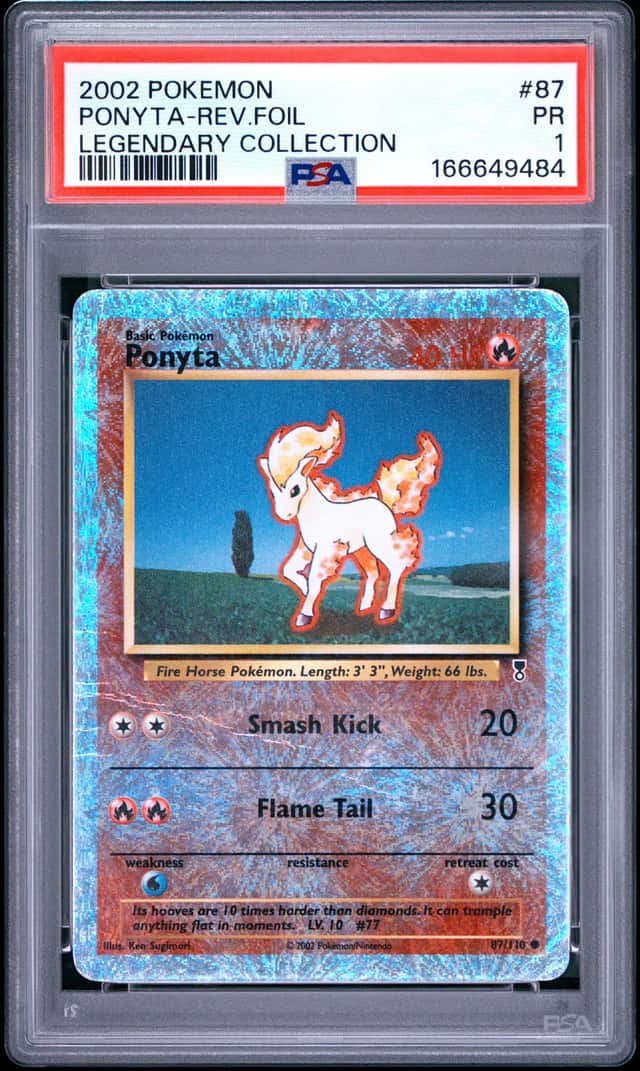 Ponyta