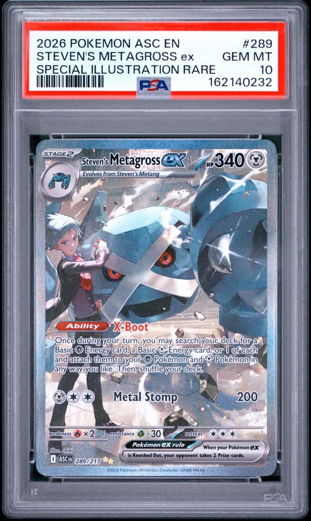 STEVEN'S METAGROSS ex