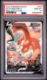 Charizard V