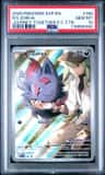 N'S Zorua