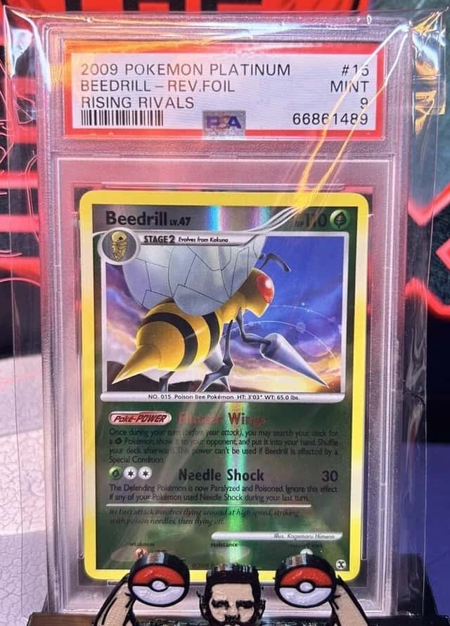 Beedrill