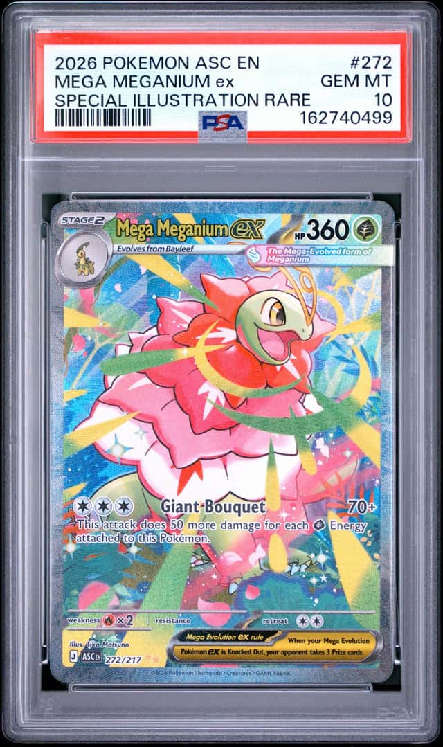 MEGA MEGANIUM ex
