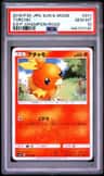 Torchic