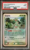 Sceptile-Rev Revavroom.foil
