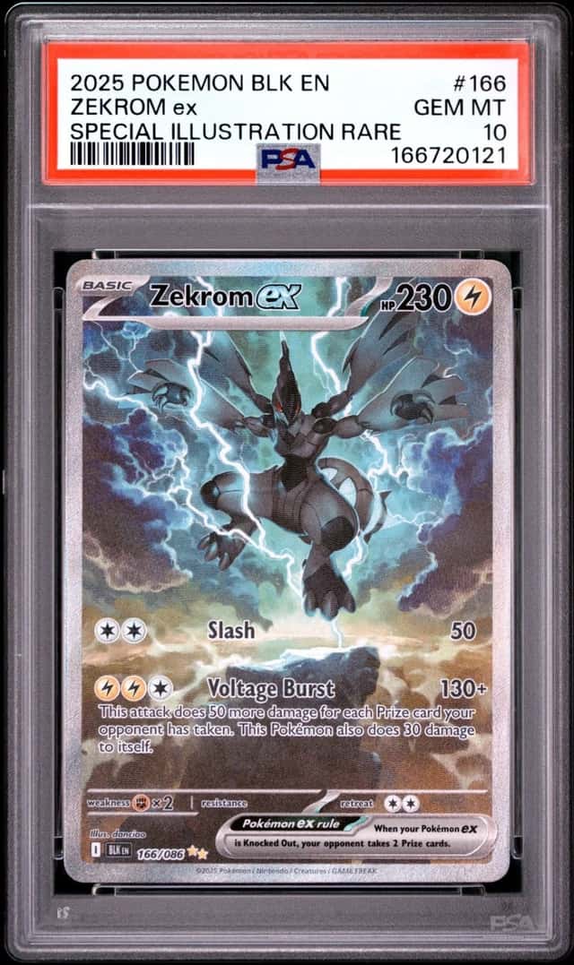 ZEKROM ex