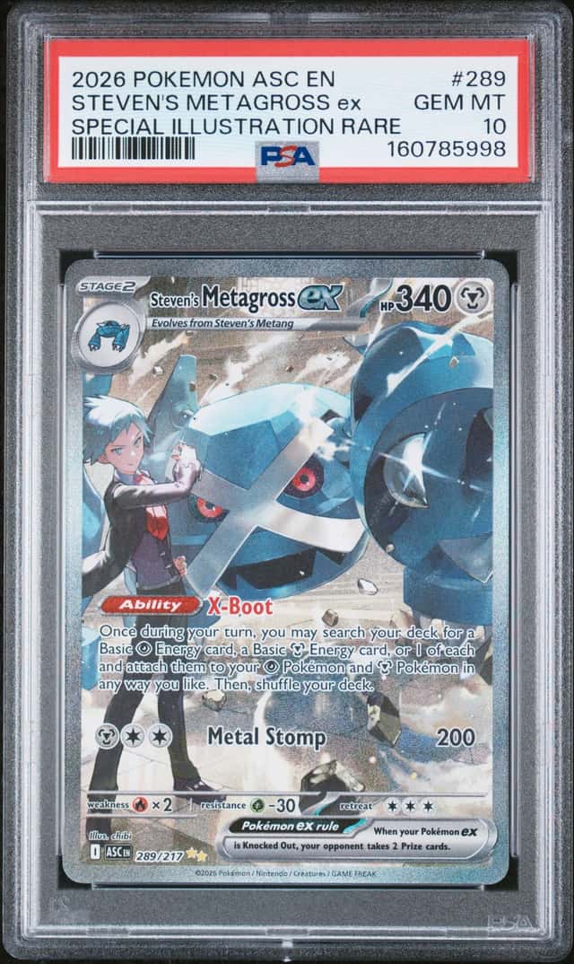 STEVEN'S METAGROSS ex