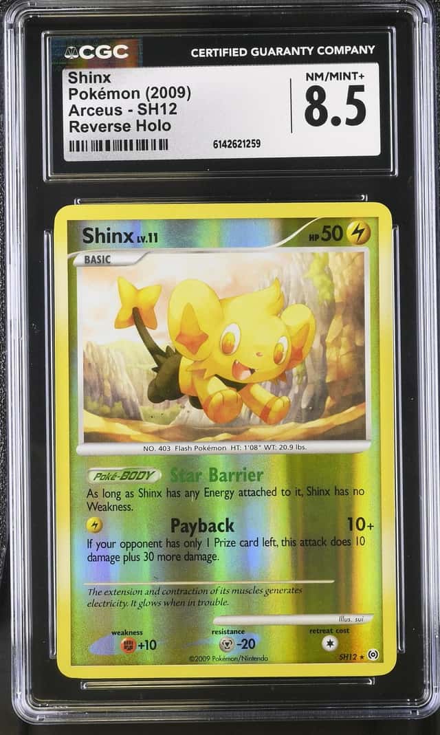 Shinx