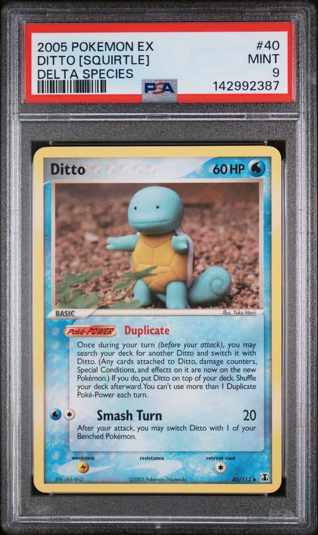Ditto [Squirtle]
