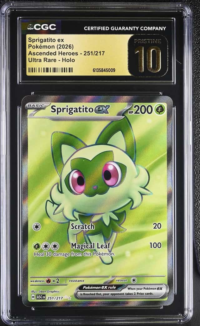 SPRIGATITO ex
