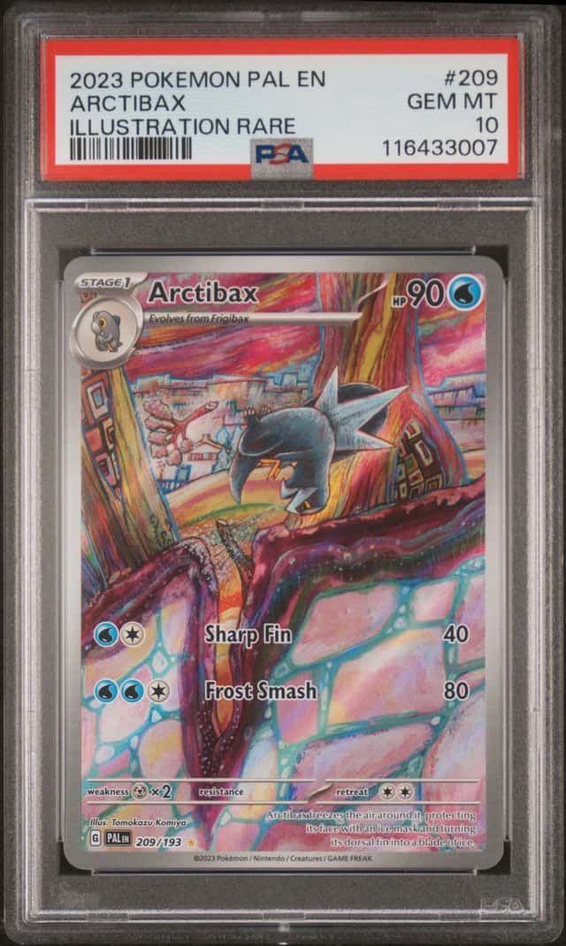 Arctibax