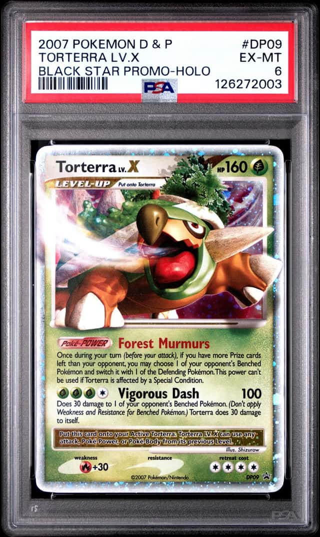 TORTERRA LV.X