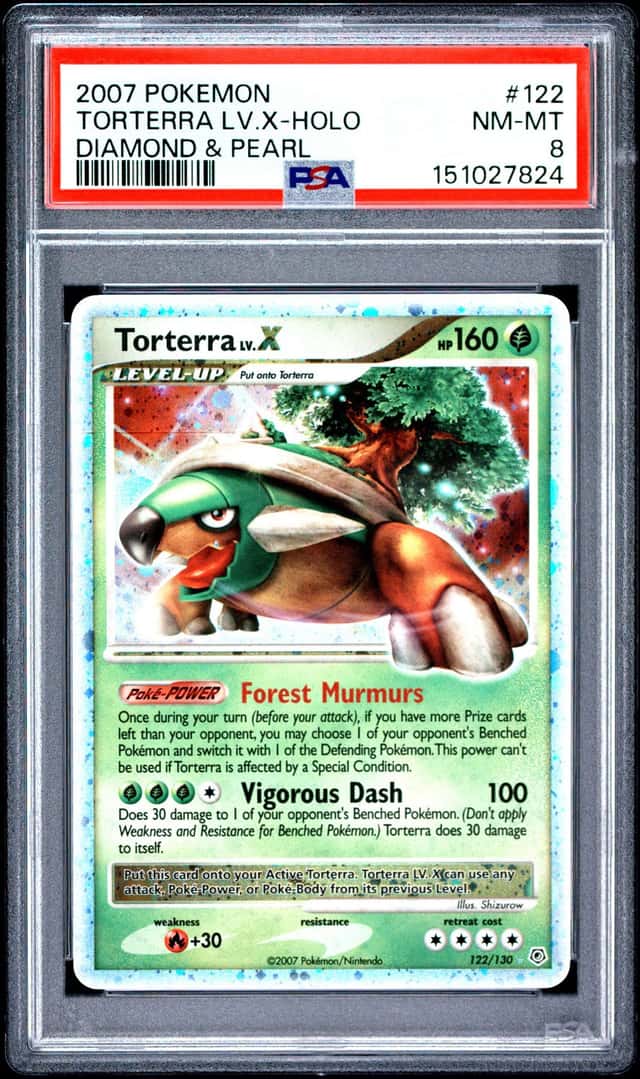 TORTERRA LV.X