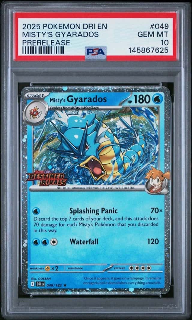 Misty's Gyarados