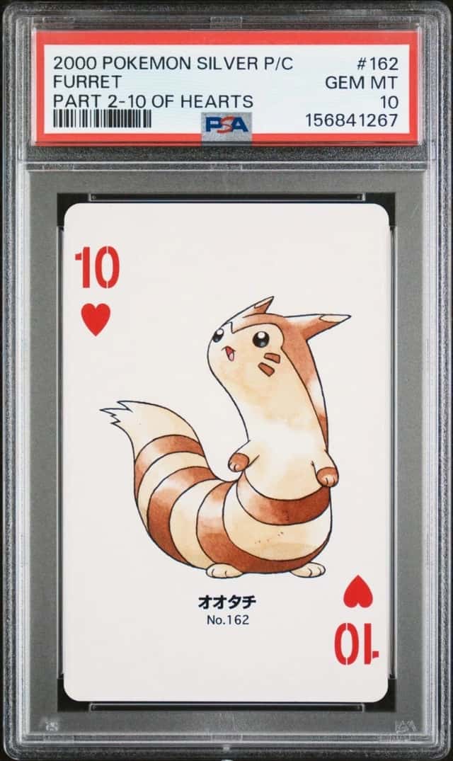 Furret