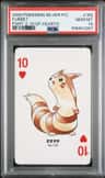 Furret
