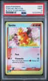 Torchic