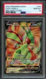 Flygon V
