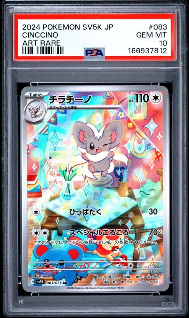 Cinccino
