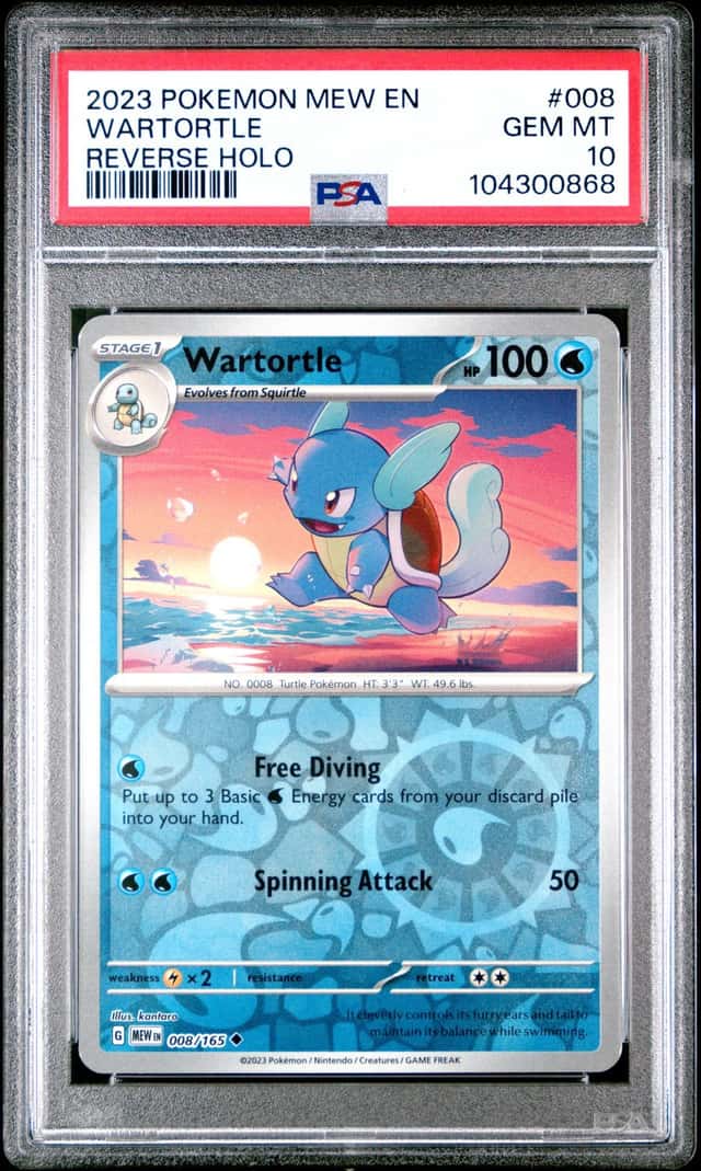 Wartortle