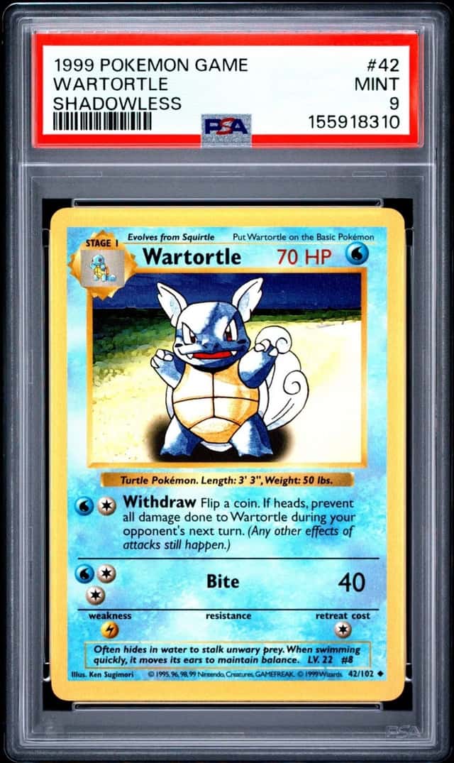 Wartortle