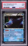 Feraligatr