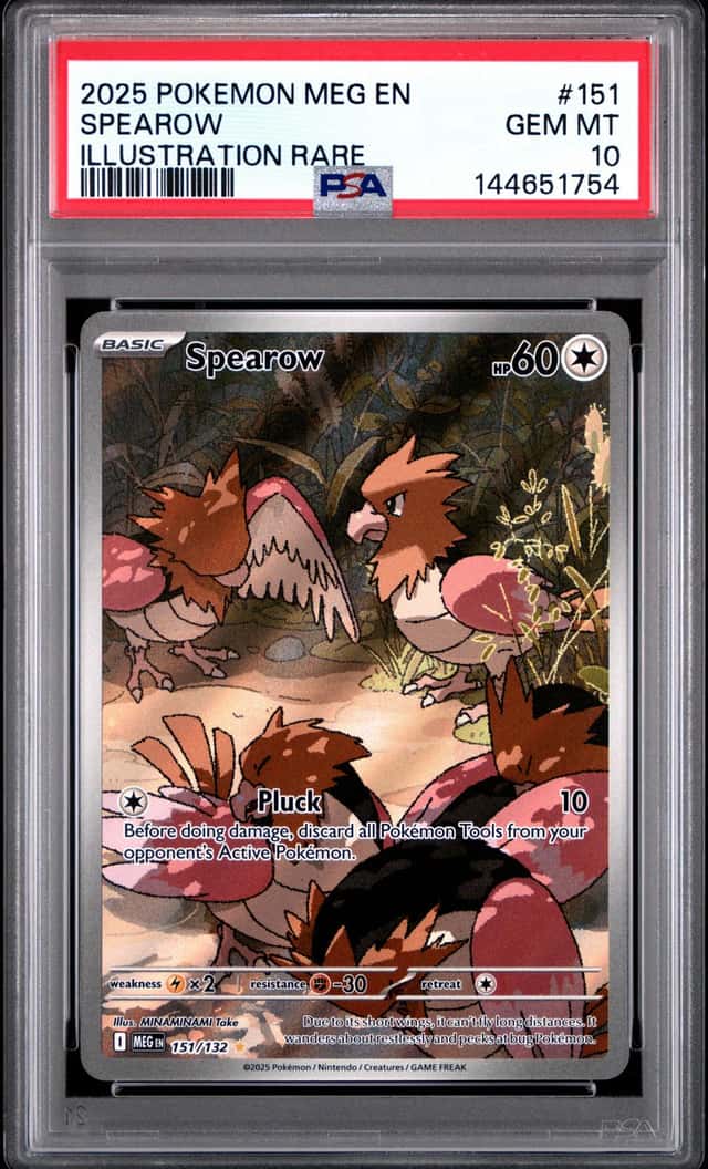 Spearow